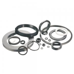 Silicon Carbide (SiC) Seal Ring