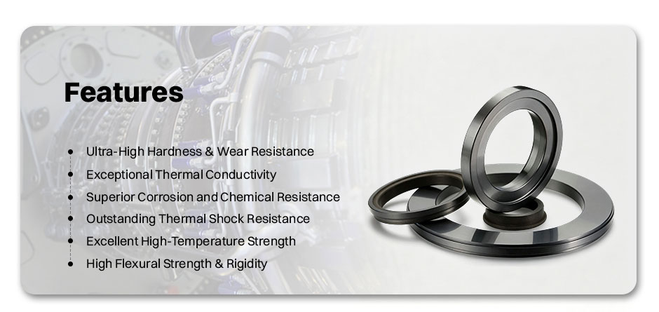 Silicon Carbide (SiC) Seal Ring